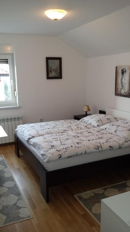 Rooms & Apartment Mira G. ポストイナ 部屋 写真